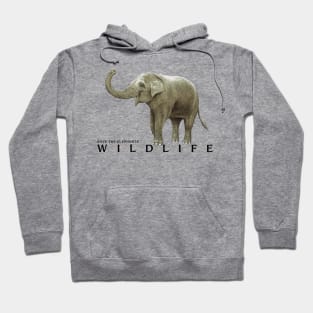 Protect the Nature Save the Elephant Hoodie